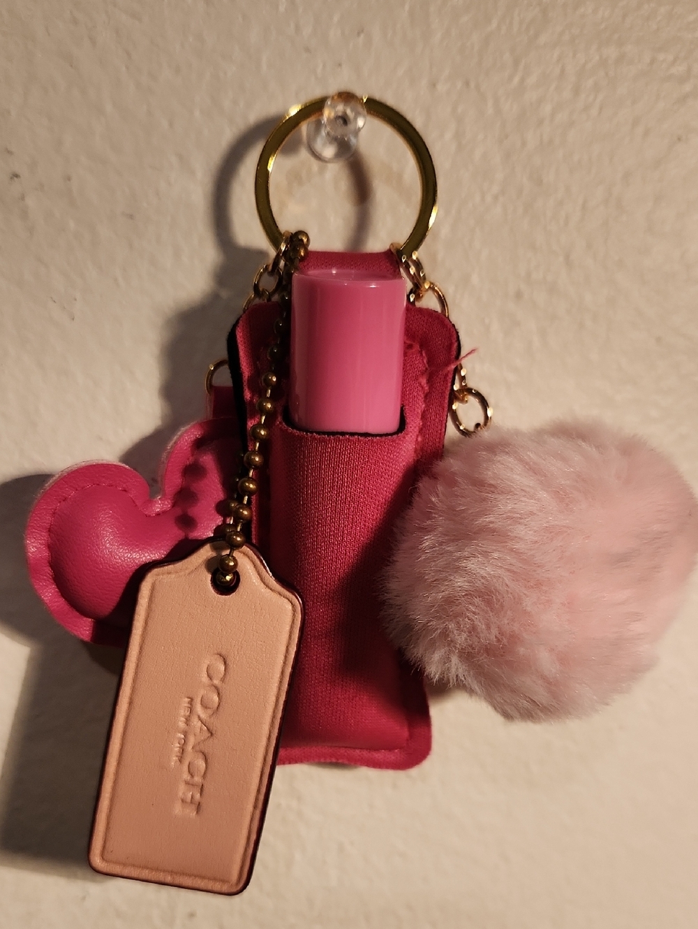 Coach Light Pink Hang With Accessories
